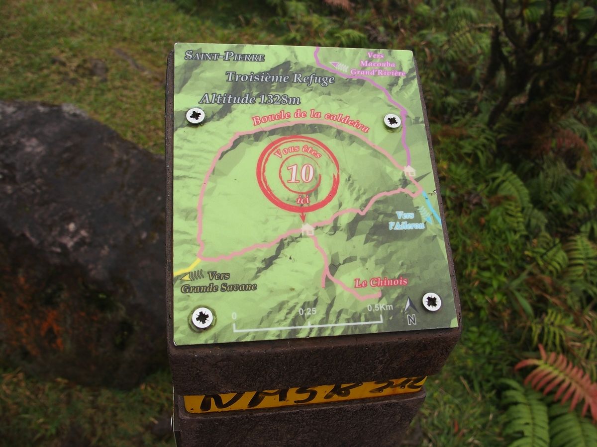utjelzo Mt. Pelee